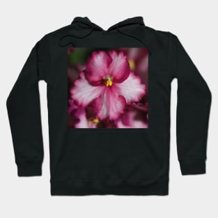 Dark Pinky-red African Violets Hoodie